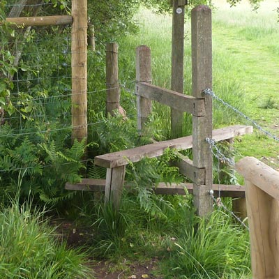 Another dreaded stile