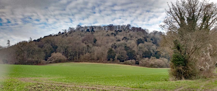 TIn Hampshire a Hanger is a wooded hillside - and this is one that I have to ascend!