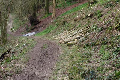They had been doing some work felling trees and buring some of the wood...