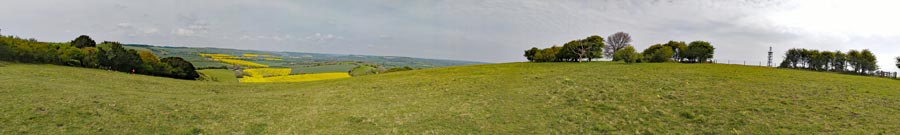 Oil Seed Rape fields from the top of Butser Hill - a panaramic photograph