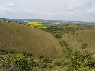Oil Seed Rape fields from the top of Butser Hill