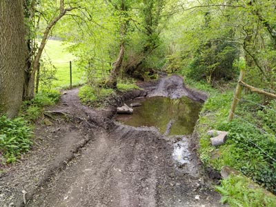 This is wet now!
