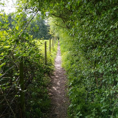 A very narrow footpath