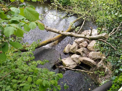 A little stream