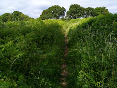 The footpath is, unusually for June, clear