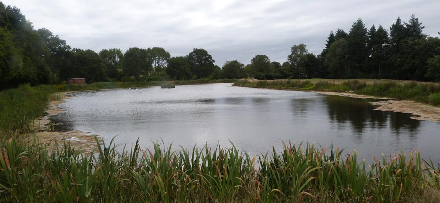 The pond at the golf course