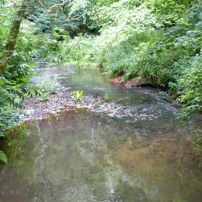 A wonderful little stream - just waiting for a Beaver!