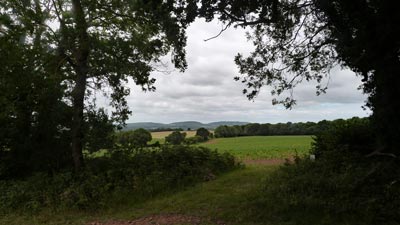 Wonderful countryside