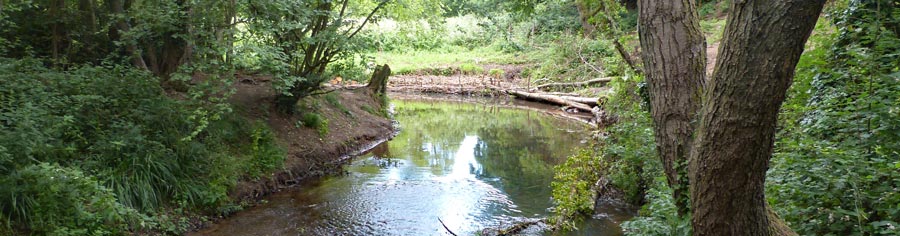 They have been working on the river bank