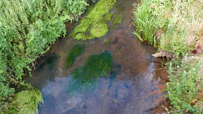 A little stream we cross over - the Rother?
