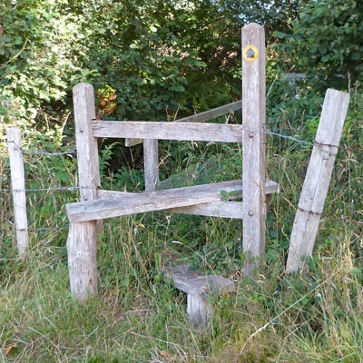 SIXTH stile