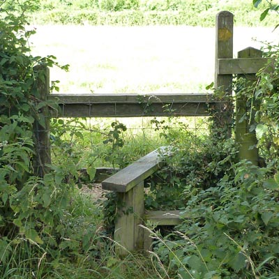TENTH stile