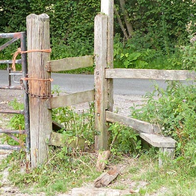 FOURTEENTH stile