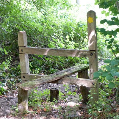 SIXTEENTH stile