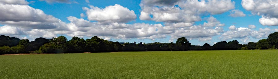 If you look carefully you'll see Butser Hill radio tower