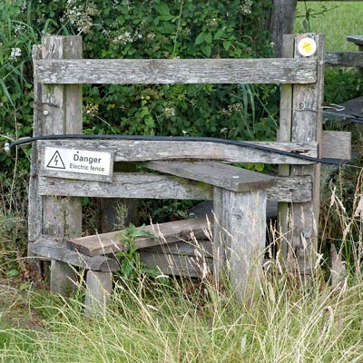 TWENTY-FIRST stile<