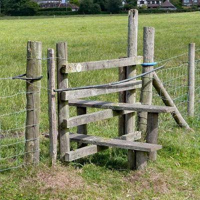 TWENTY-EIGHT stile