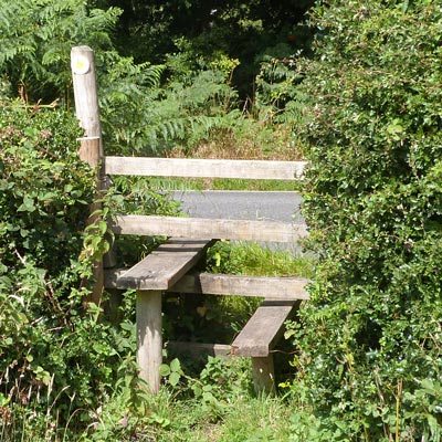 THIRTY-FIRST stile