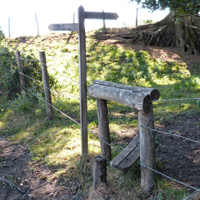 THIRD stile