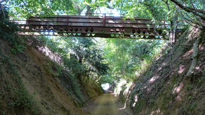 The bridge at Durley Marsh pick-your-own farm