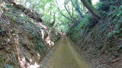 The footpath - going north to join our normal route