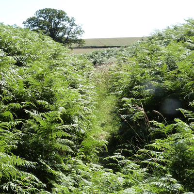 The footpath is closed this time of year!
