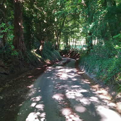 The road past the farm
